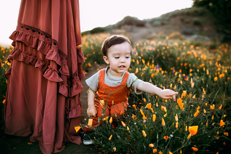Family photography, toddler with mom, playing with flowers in a field